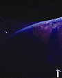 I_Was_Here_(United_Nations_World_Humanitarian_Day_Perform____mp40108.png